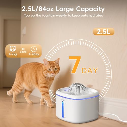 Cat Water Fountain