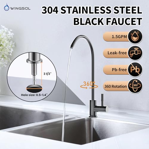 Under Sink Water Filter System with Black Faucet