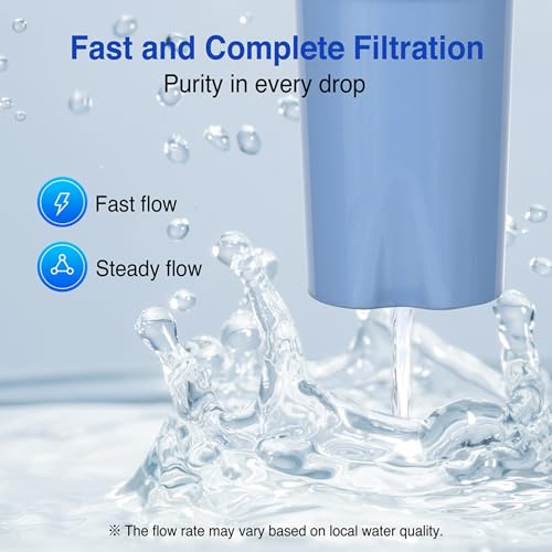 Long Lasting Water Filters Compatible Brita Filter Replacement Reduces Lead (2 Count)