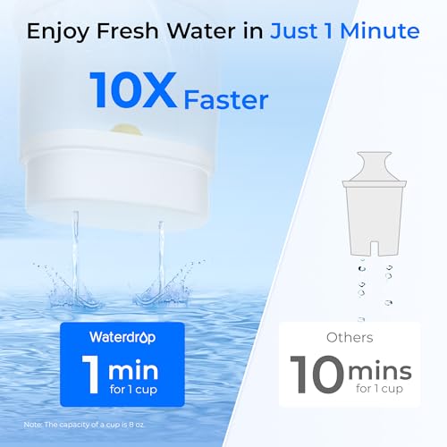 PT-09W 10-Cup Large Glass Water Filter Pitcher, Eco-Friendly