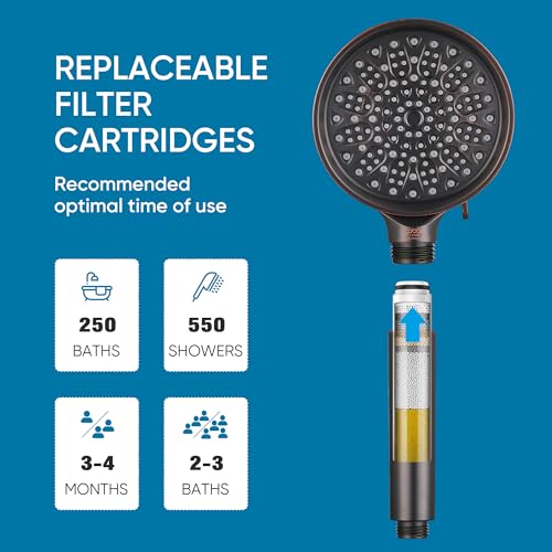 Filtered Shower Head with Handheld