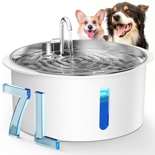 Dog Water Fountain for Large Dogs (236 Ounce)