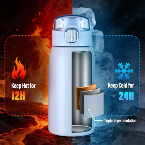 Insulated Water Bottle 12 oz with Dustproof Lid