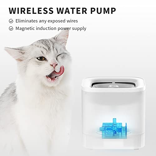 Eversweet Solo SE Cat Water Fountain 65oz