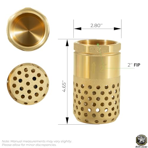 2 Inch Brass Foot Valve with Mesh Strainer