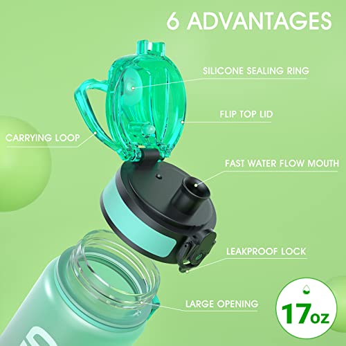 Water Bottle 17oz