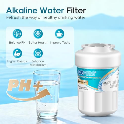 Alkaline RWF0600A (4 Count)