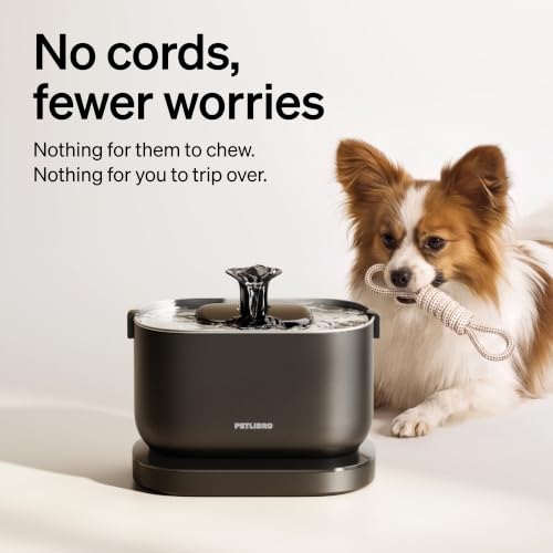 Small Dog Water Fountain