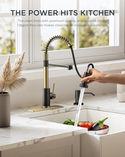 Kitchen Faucets