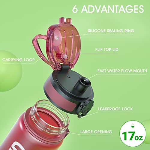Water Bottle 17oz