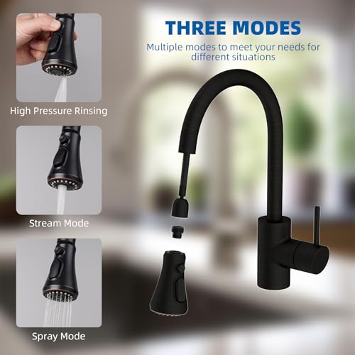 Pull Down Kitchen Faucet Head Replacement