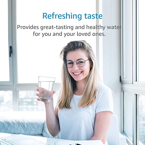 RC EZ 4 Water Filter Replacement for Culligan® RC