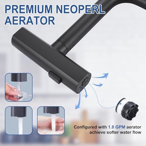 Kitchen Faucet with Pull Down Sprayer