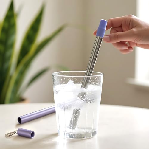 Stainless Steel Water Filter Straw