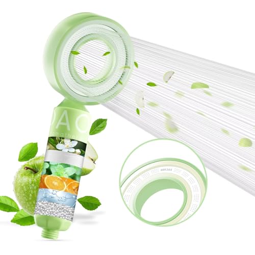 Filtered Shower Head with Handheld