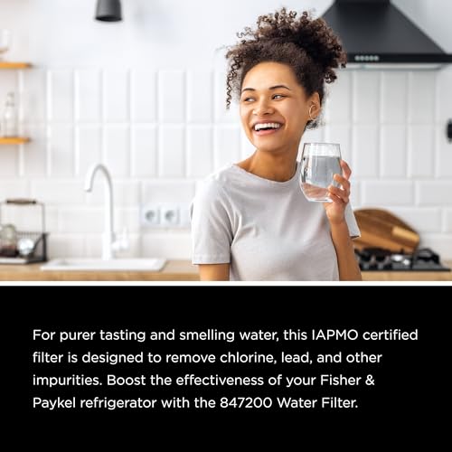 847200 Refrigerator Water Filter