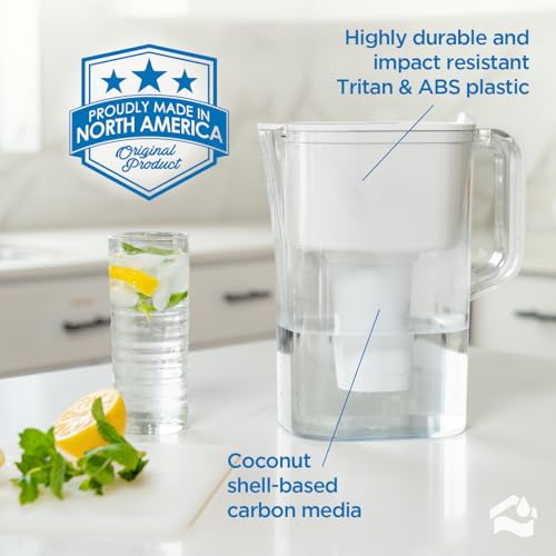 HOMEWATER 10 Cup Pitcher Filter