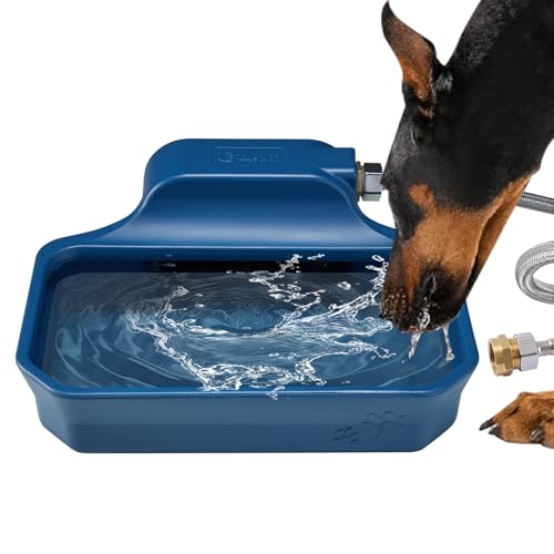 Automatic Water Dispenser for Dogs