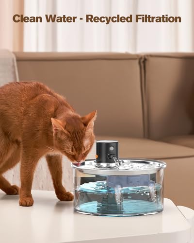 Cat Water Fountain Filters