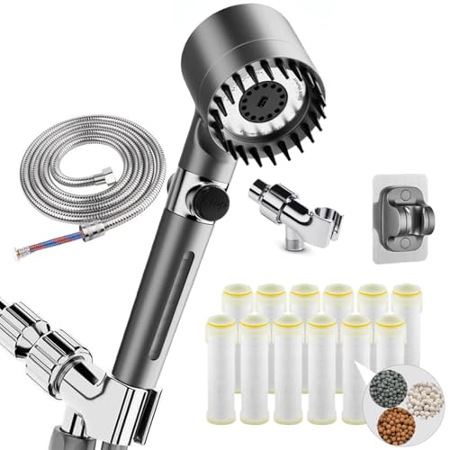 Filtered Shower Head with Handheld (12 Count)