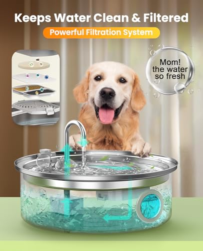 7L 230oz Pet Water Fountain