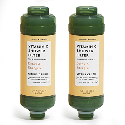 Vitamin C Shower Filter Duo (2 Count)