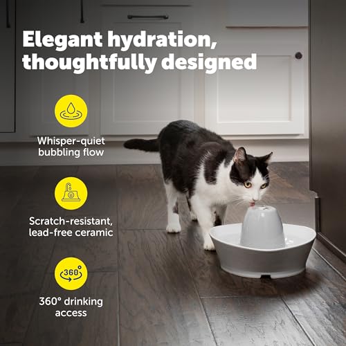 Creekside Ceramic Pet Fountain