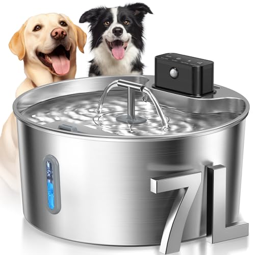 Dog Water Fountain (2.4 Pound)