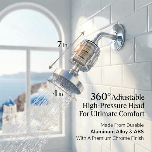 Filtered Shower Head with 2 Filter Cartridges