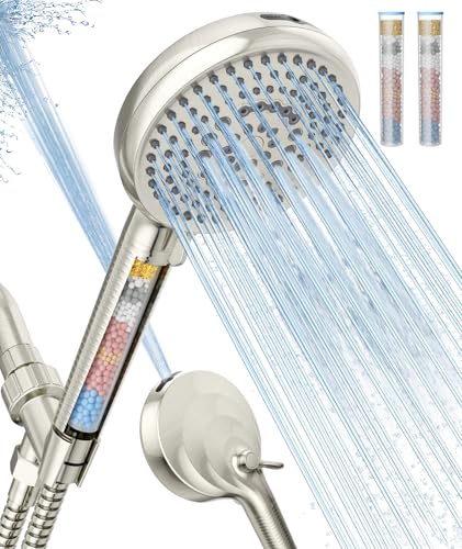 Filtered Shower Head with Handheld