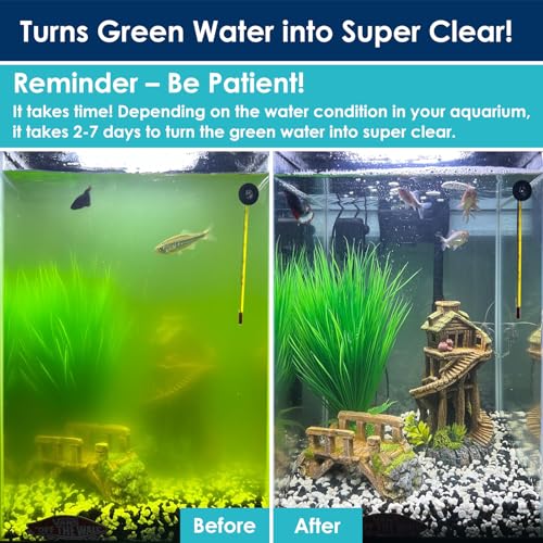Aquarium Green Water Filter