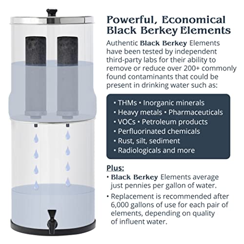Royal Berkey Gravity (2 Count)