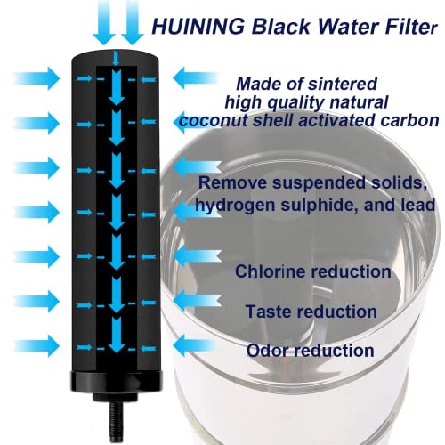 2PCS Black Water Filters