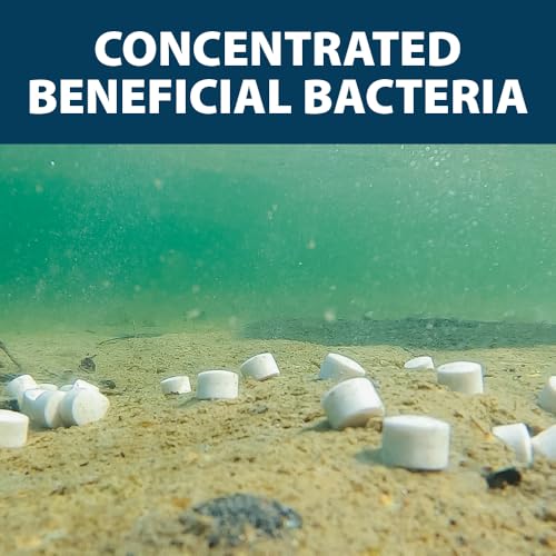 MuckAway Bacteria Enzyme Tablets for Ponds & Lakes