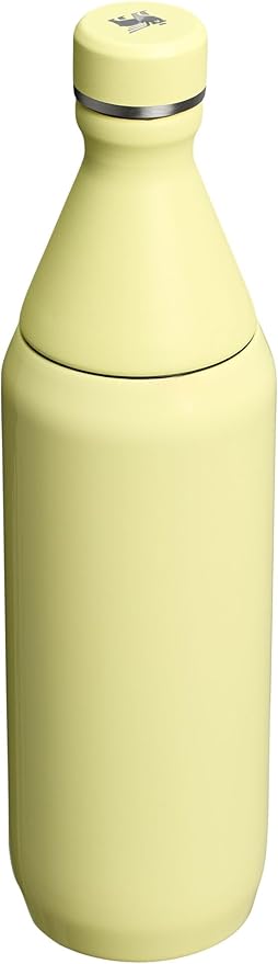 Stanley All Day Slim Bottle 20 oz | Twist off Lid with Leakproof Seal | Slim Design for Travel and Gym | Insulated Stainless Steel Water Bottle | BPA-Free | Pomelo Gloss