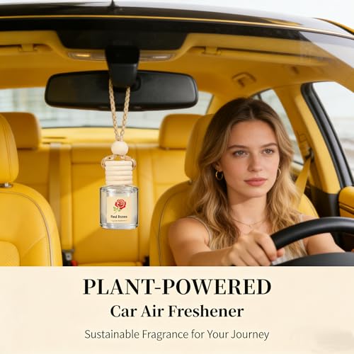 Car Air Freshener 4