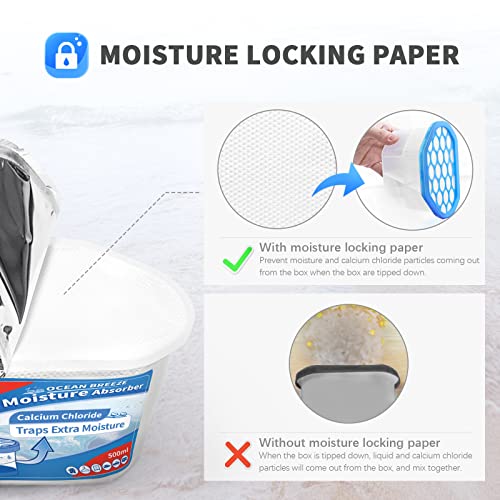 Moisture Absorber (12 Count)
