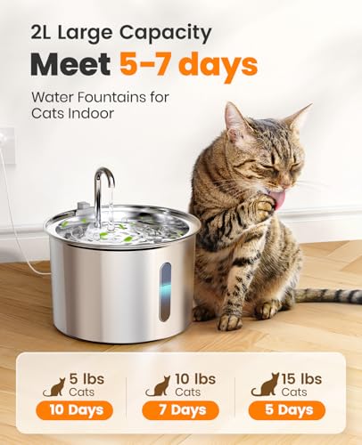 Stainless Steel Cat Water Fountain