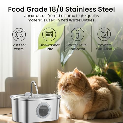 SS 01 Stainless Steel Faucet