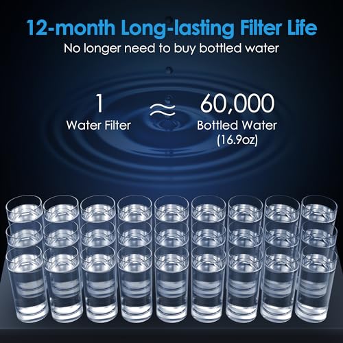 BS13 Under Sink Water Filtration System with Dedicated Faucet