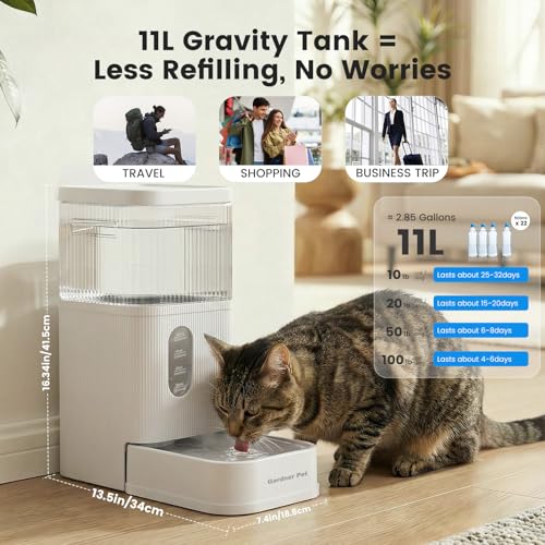 2.9 Gallon Automatic Dog Water Dispenser with Stainless Steel Bowl