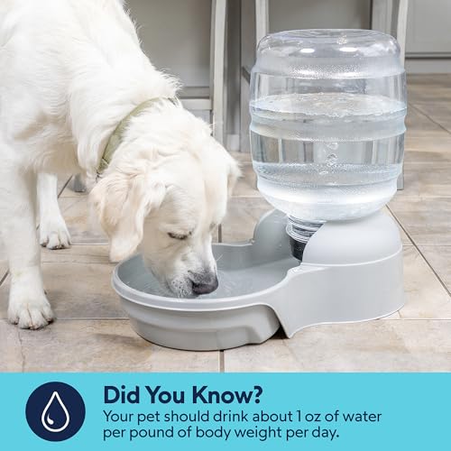 Aspen Pet Lebistro Cat and Dog Water Dispenser