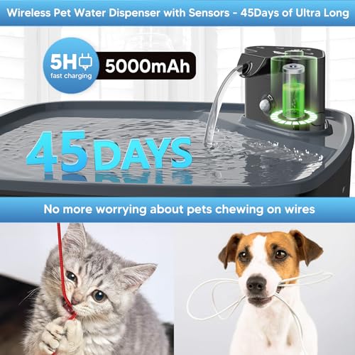Dog Water Fountain Wireless