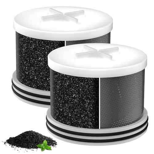 Shower Head Activated Carbon Filter Replacement Cartridge for MakeFit Filtered Shower Head (2 Count)