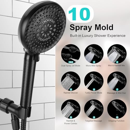Filtered Shower Head with Handheld