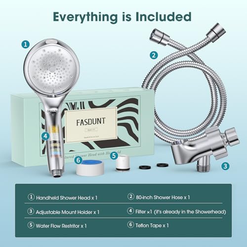 Filtered Shower Head with Handheld
