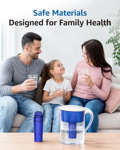 Pitcher Water Filter Replacement for Pur® Filters (4 Count)