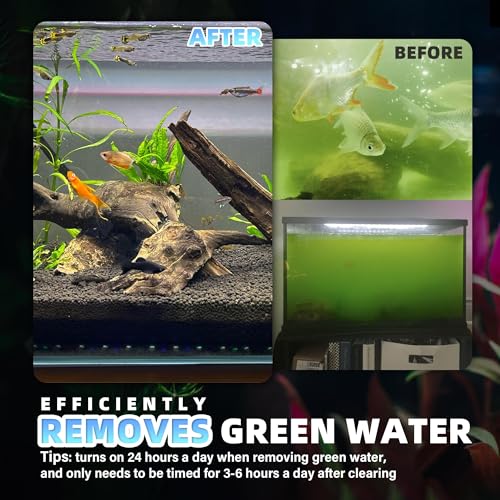 40-150 Gal U-V Aquarium Filter for Fish Turtle Tank, Swivel Outlet