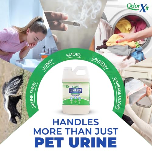 Concentrated Pet Urine Odor Eliminator (2048 Fl Oz)