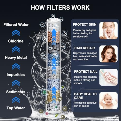 Filtered Shower Head with Handheld